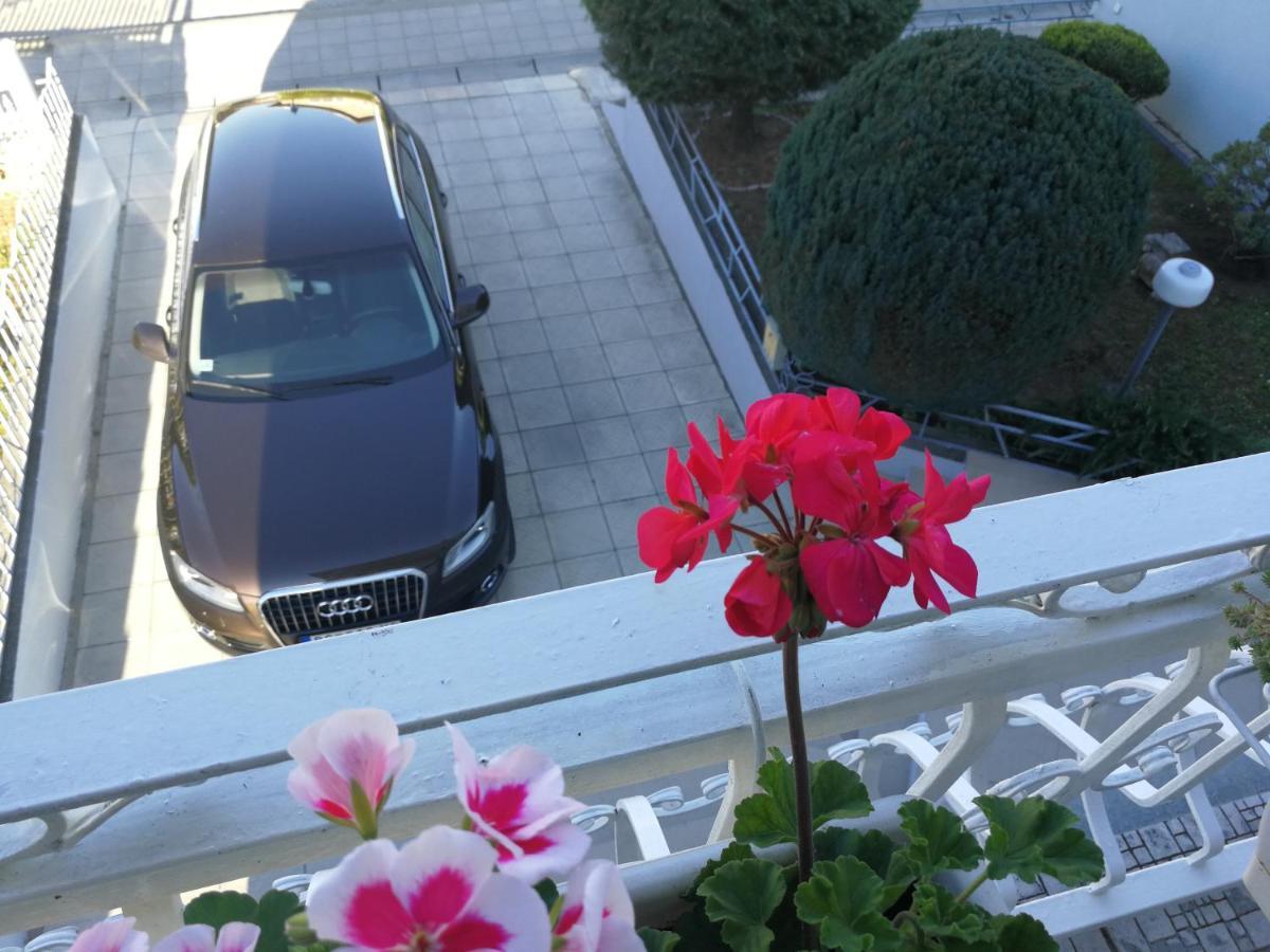 Apartmani Capi Golubac Esterno foto